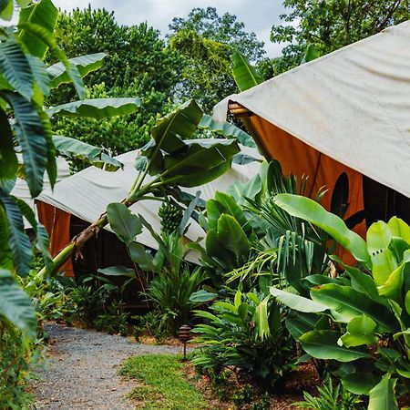 Jungle Gayborhood Hotel And Retreat Center San Luis  Екстериор снимка