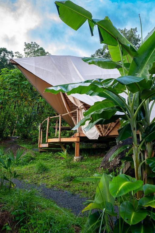 Jungle Gayborhood Hotel And Retreat Center San Luis  Екстериор снимка
