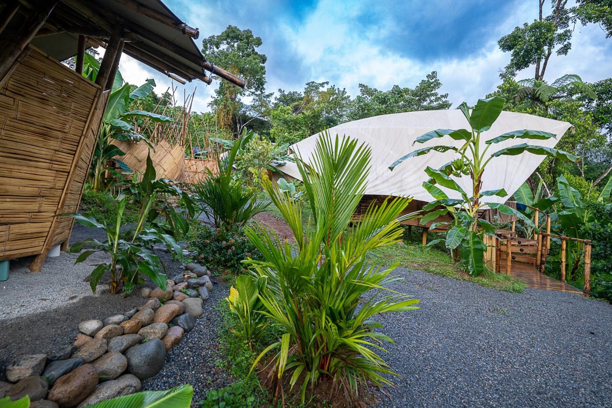 Jungle Gayborhood Hotel And Retreat Center San Luis  Екстериор снимка