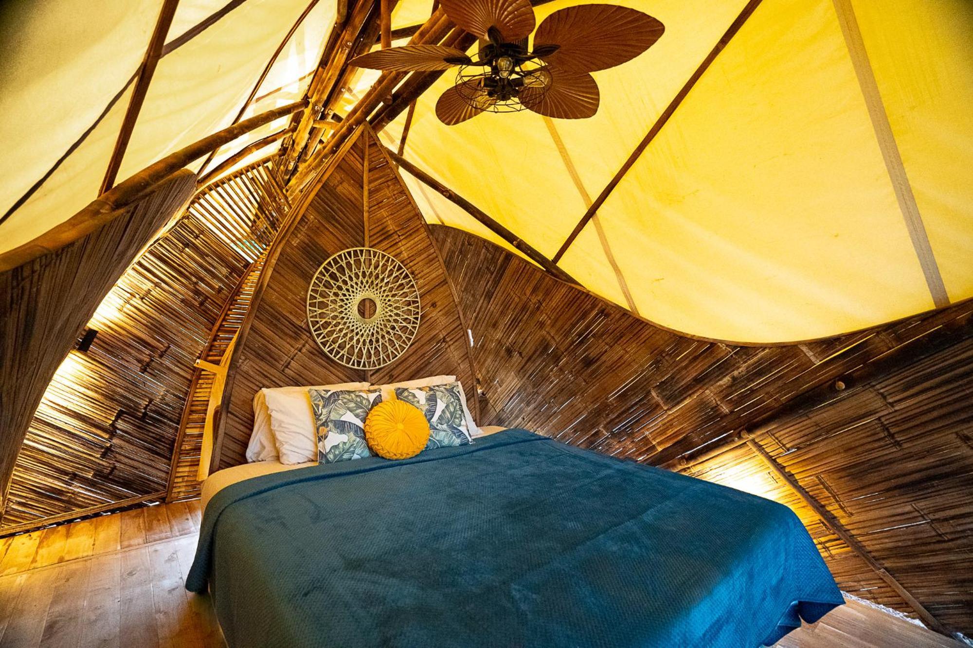 Jungle Gayborhood Hotel And Retreat Center San Luis  Екстериор снимка