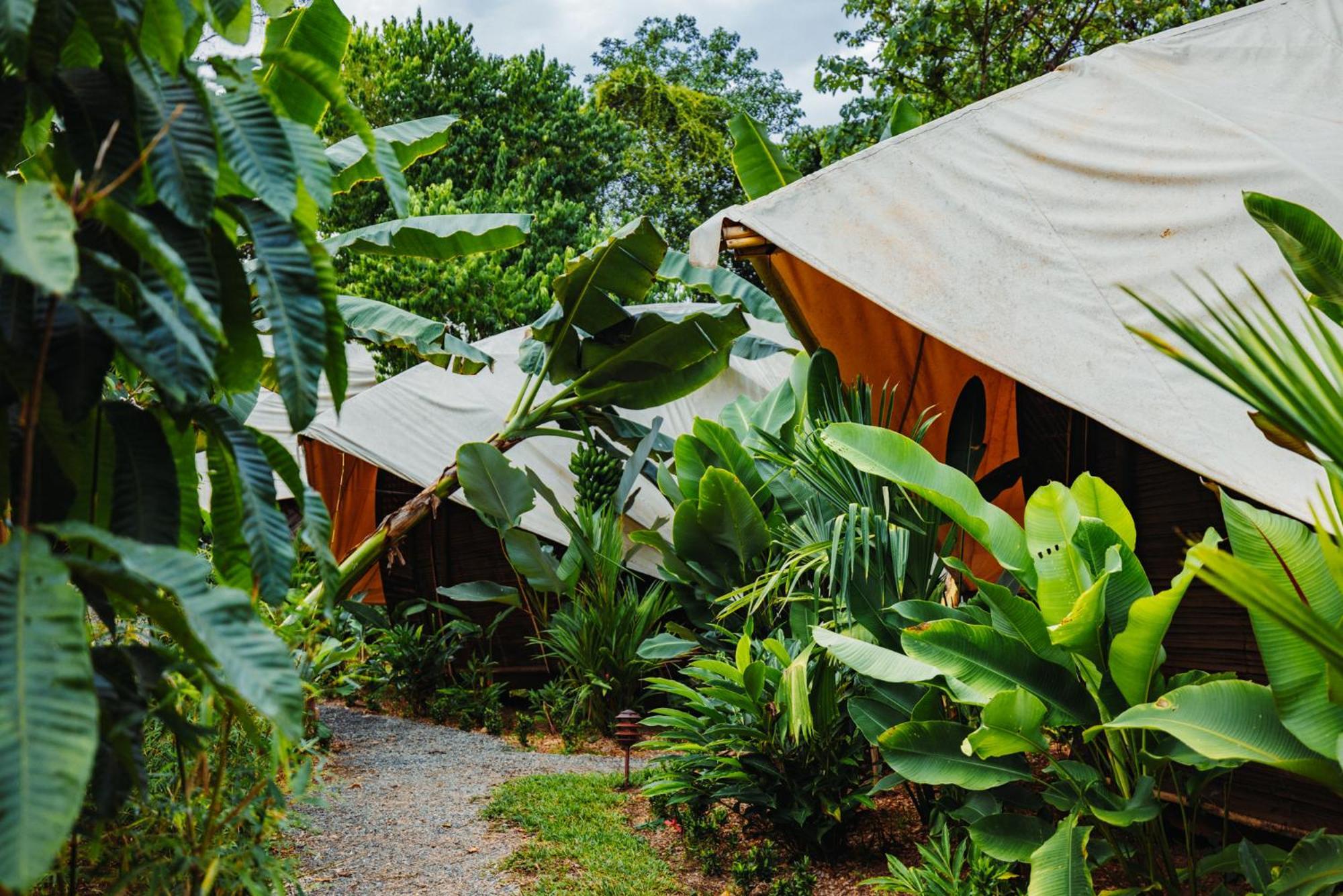 Jungle Gayborhood Hotel And Retreat Center San Luis  Екстериор снимка