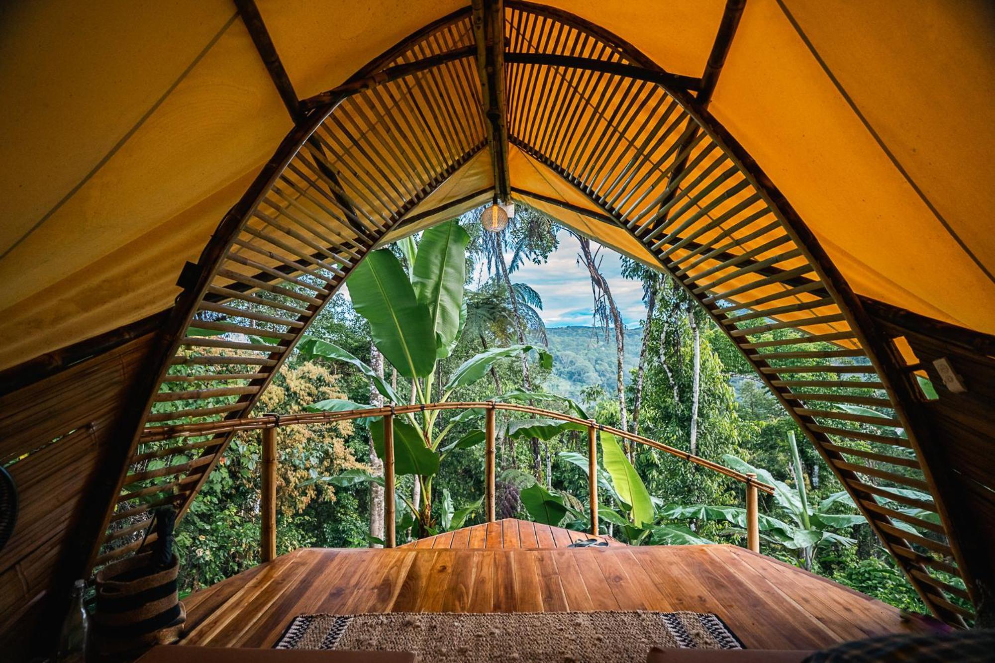 Jungle Gayborhood Hotel And Retreat Center San Luis  Екстериор снимка